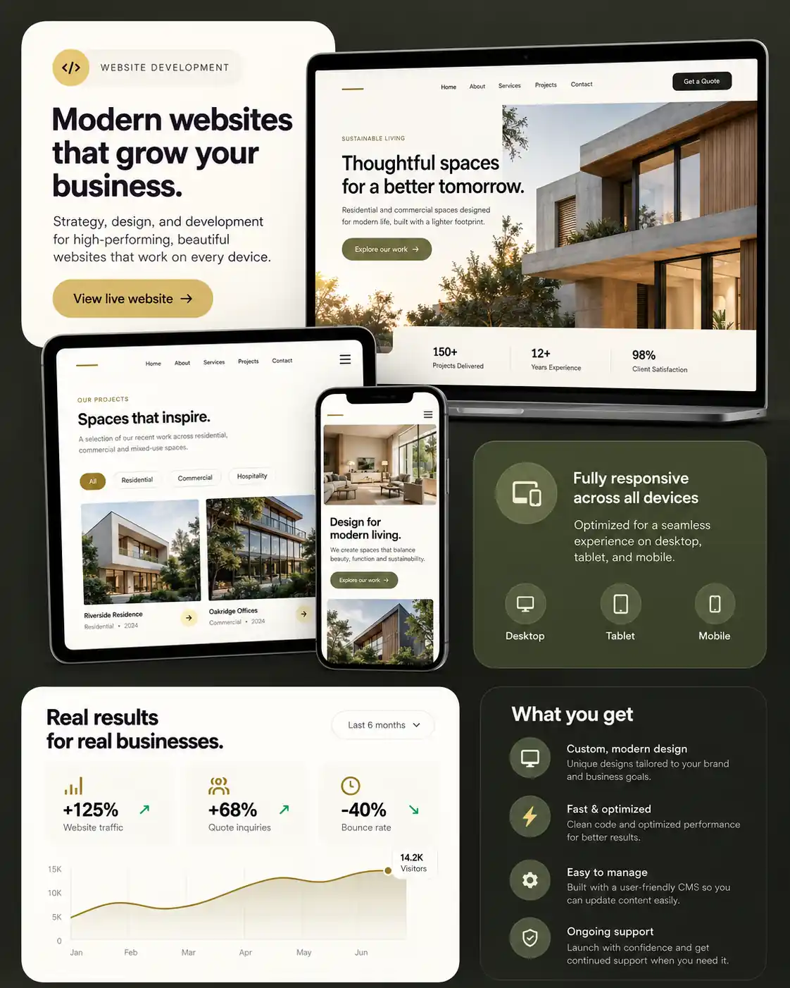 Website development project showcase
